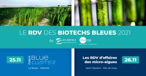 biotechs bleues